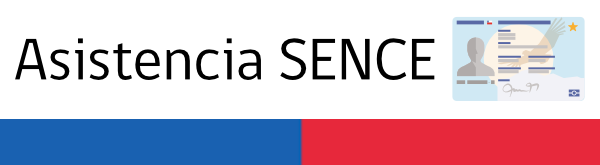 Logo Sence PRO